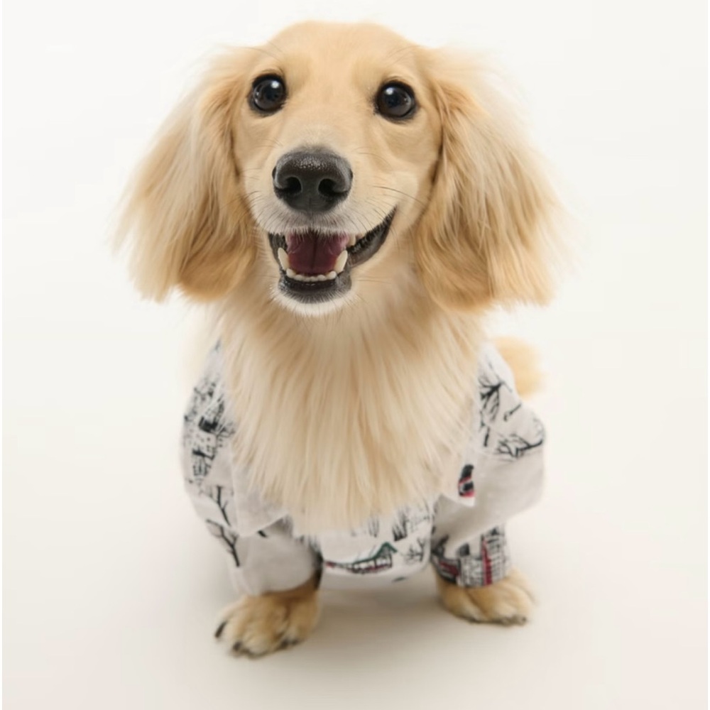 A&F Dog Flannel